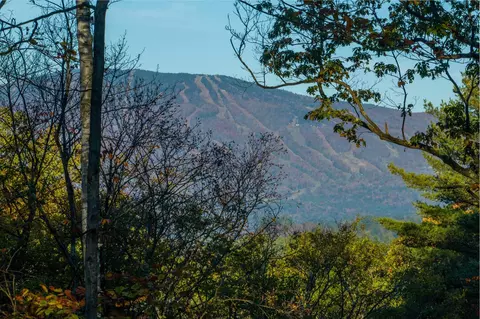 263 High Ridge Rd, Cavendish, VT 05142