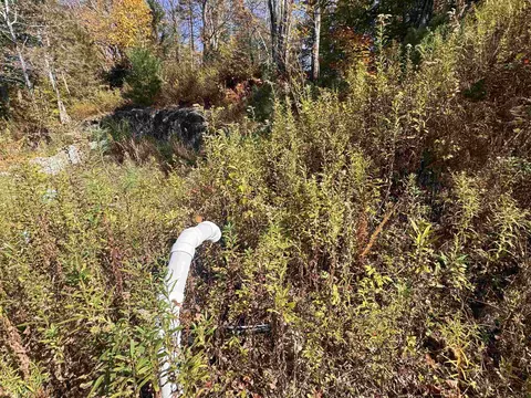 634 Lincoln Rd, Ripton, VT 05766 photo 8