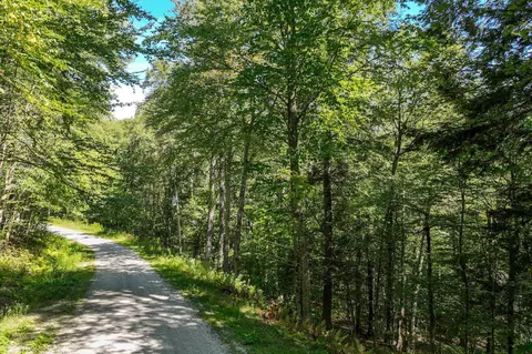 1-61 Hawk Spur Rd #1-61, Plymouth, VT 05056