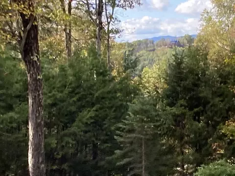 Abnaki Trail, Campton, NH 03223