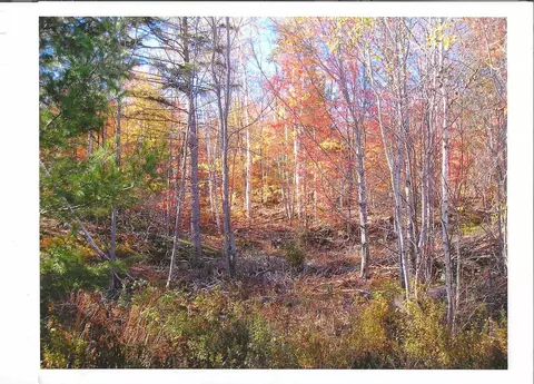 0 North Rd, Guildhall, VT 05905 photo 23