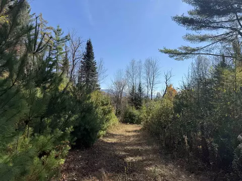 0 North Rd, Guildhall, VT 05905 photo 5