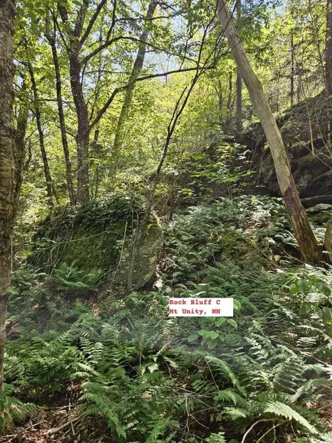 495 Mica Mine Rd, Unity, NH 03743 photo 30
