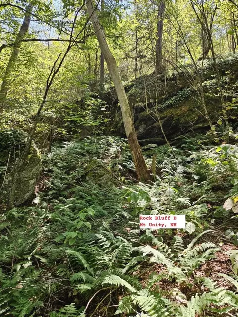 495 Mica Mine Rd, Unity, NH 03743 photo 31