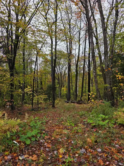 00 Heartwellville View Rd #65/66/69/70, Readsboro, VT 05350
