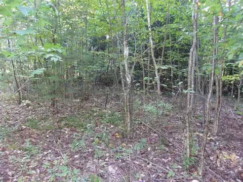 9 Fenn Way Circle #31, Bath, NH 03740