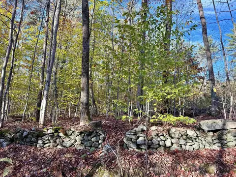 0 Townshend Dam Rd, Wardsboro, VT 05355