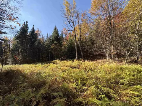 000 Baird Rd, Newark, VT 05871