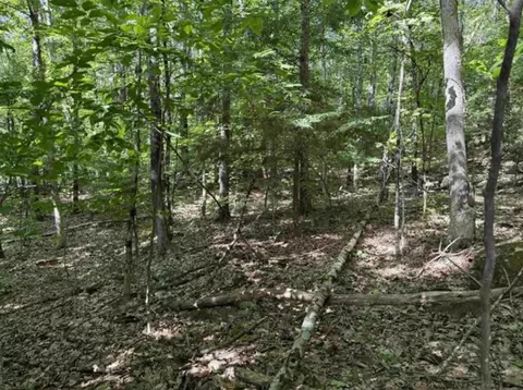 156 New Hampshire Drive # 154 155, Webster, NH 03303