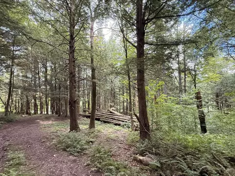 30 Bentley Ln, Jericho, VT 05465 photo 7
