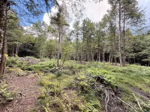 30 Bentley Ln, Jericho, VT 05465 photo 6