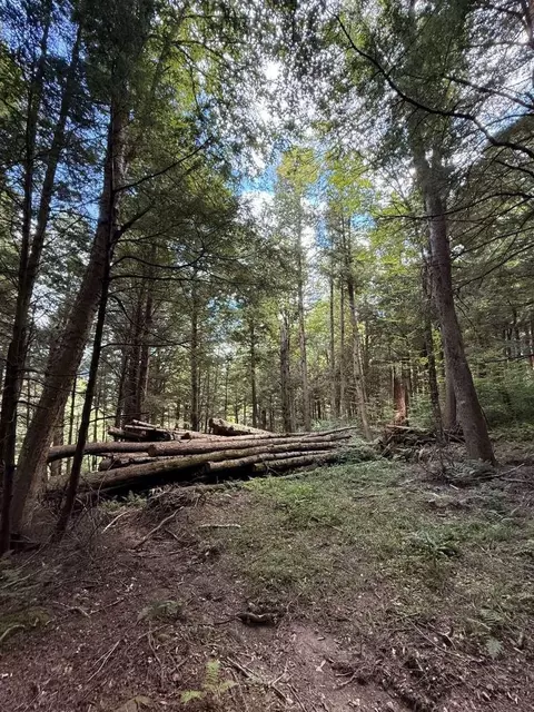 30 Bentley Ln, Jericho, VT 05465 photo 3