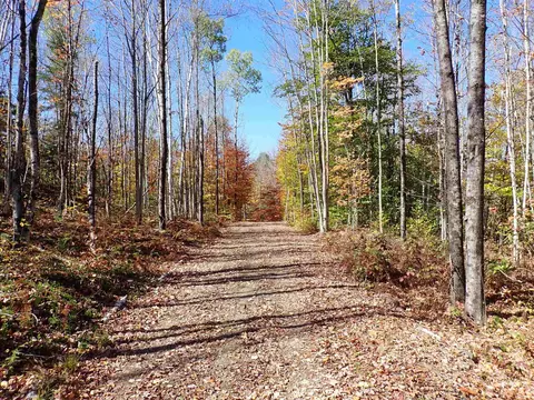 501 Fellows Rd, Guildhall, VT 05905 photo 21