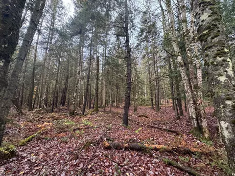10 Hampshire Hill Rd, Worcester, VT 05682