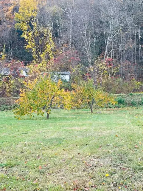 476 Missing Link Rd, Springfield, VT 05156 photo 4