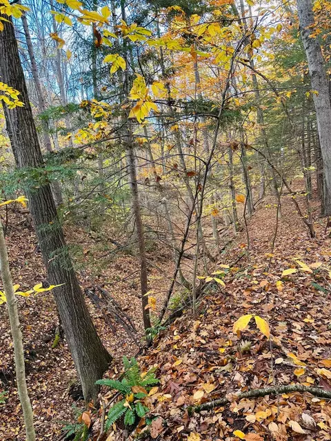 476 Missing Link Rd, Springfield, VT 05156 photo 5