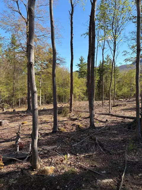 lot A Frost Pond Rd, Dorset, VT 05251