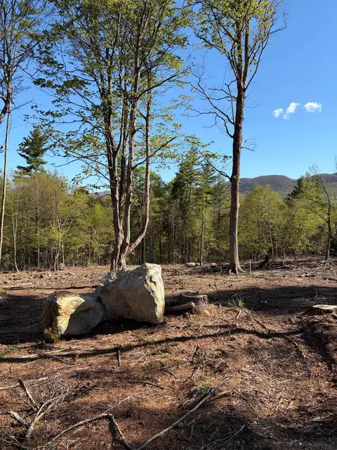 lot B Frost Pond Rd, Dorset, VT 05251