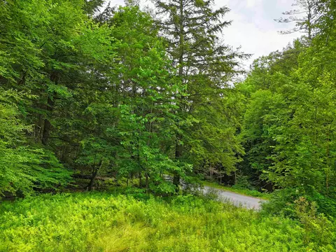 341 Seavers Brook Rd, Springfield, VT 05156 photo 5