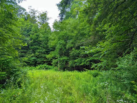 341 Seavers Brook Rd, Springfield, VT 05156 photo 10
