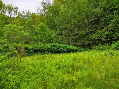 341 Seavers Brook Rd, Springfield, VT 05156 photo 2