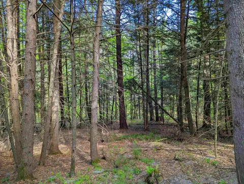 14 Brickyard Rd, Dover, VT 05341 photo 5