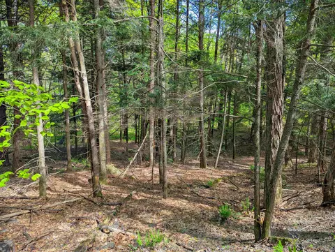 14 Brickyard Rd, Dover, VT 05341 photo 8