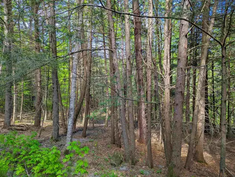 14 Brickyard Rd, Dover, VT 05341 photo 6