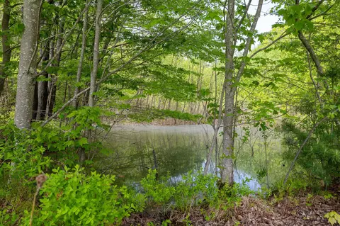View/Area - 337 Middle Rd, Brentwood, NH 03833 photo 6 of 7