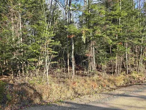 Hawkins Road, Dummer, NH 03588 photo 6