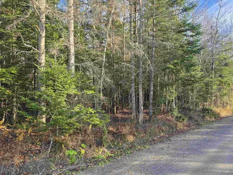 Hawkins Road, Dummer, NH 03588 photo 2