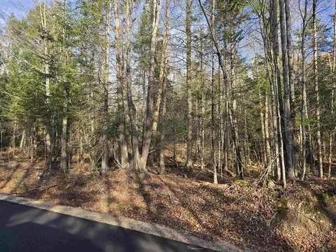 Hawkins Road, Dummer, NH 03588 photo 9