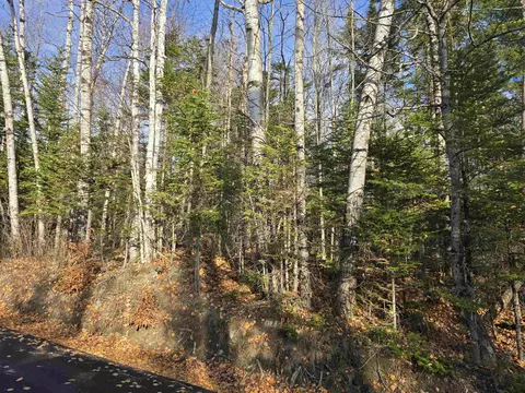 Hawkins Road, Dummer, NH 03588 photo 3