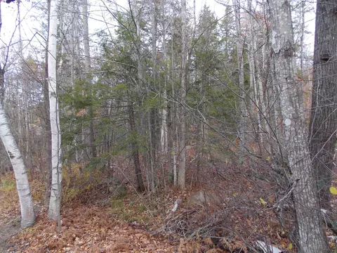 lot49 Mittenwald Strasse Rd, Bartlett, NH 03812