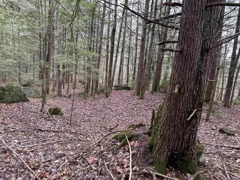 0 Pound Rd, Sutton, NH 03221 photo 37