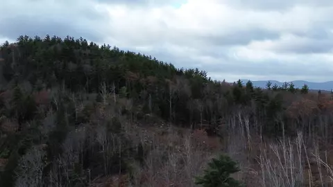 0 Pound Rd, Sutton, NH 03221 photo 25