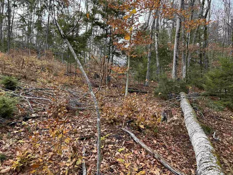 0 Pound Rd, Sutton, NH 03221 photo 43
