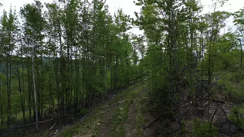 0 Pound Rd, Sutton, NH 03221 photo 2