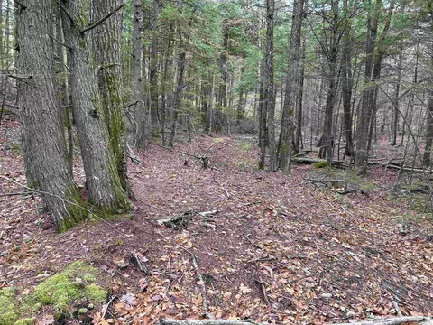 0 Pound Rd, Sutton, NH 03221 photo 6