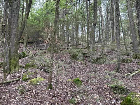 0 Pound Rd, Sutton, NH 03221 photo 31