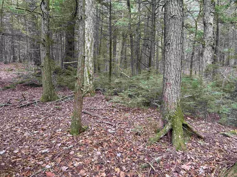 0 Pound Rd, Sutton, NH 03221 photo 34