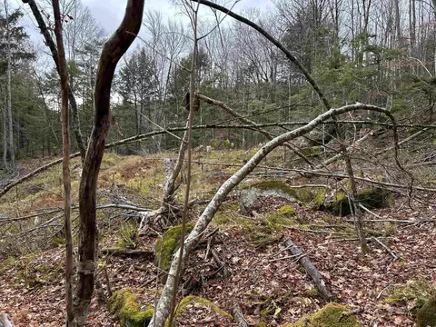 0 Pound Rd, Sutton, NH 03221 photo 23