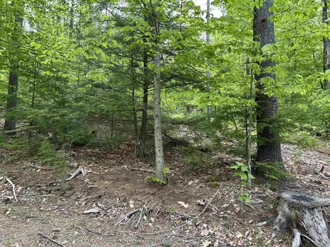 0 Pound Rd, Sutton, NH 03221 photo 5