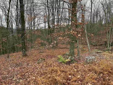 0 Pound Rd, Sutton, NH 03221 photo 7