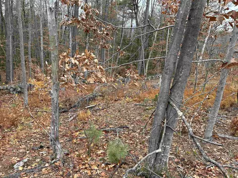 0 Pound Rd, Sutton, NH 03221 photo 46