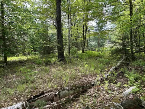 0 Pound Rd, Sutton, NH 03221 photo 51