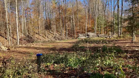 00 Lower Middle Rd #11, Chittenden, VT 05763