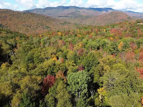 350 Anne Burns Rd #19 & 20, Warren, VT 05674