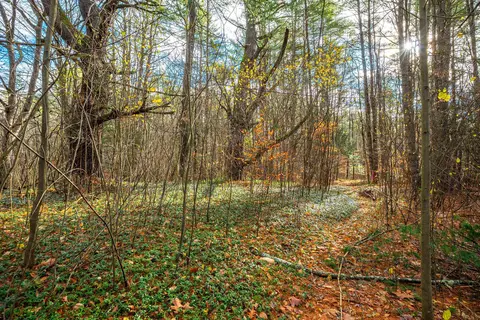 40 E Putney Brook Rd, Putney, VT 05346 photo 19