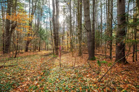 40 E Putney Brook Rd, Putney, VT 05346 photo 18